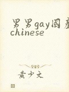 男男gay国产chinese封面