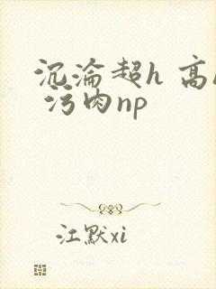 沉沦超h 高h 污肉np