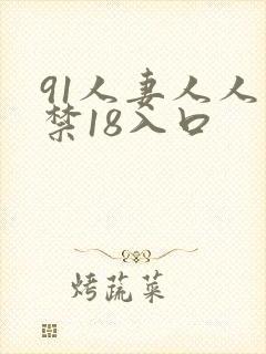 91人妻人人爽禁18入口