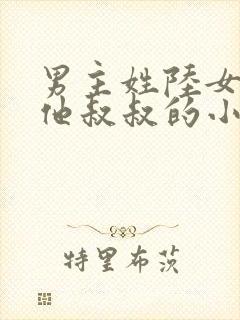 男主姓陆女主叫他叔叔的小说