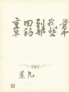 重回到我爸当校草的那些年 小说