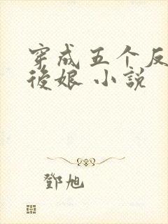 穿成五个反派的后娘 小说