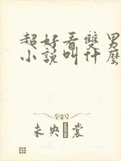 超好看双男主的小说叫什么