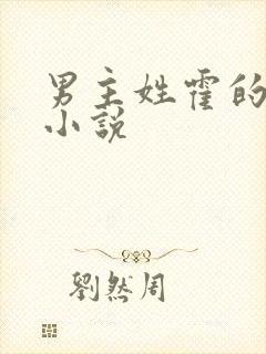 男主姓霍的总裁小说