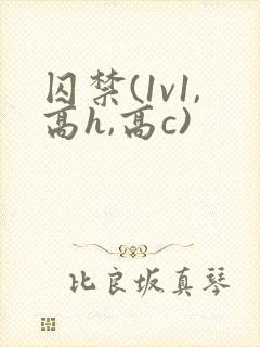 囚禁(1v1,高h,高c)