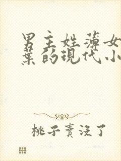 男主姓薄女主姓叶的现代小说