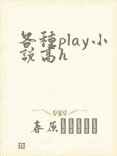 各种play小说高h