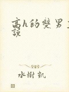 高h的双男主小说