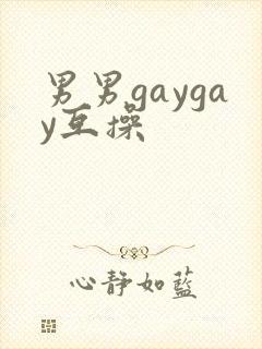 男男gaygay互操