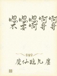 嗯嗯嗯啊啊啊啊不要啊哥哥封面