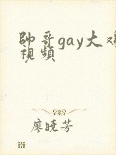 帅哥gay大鸡视频封面