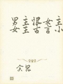 男主恨女主报复女主古言小说封面