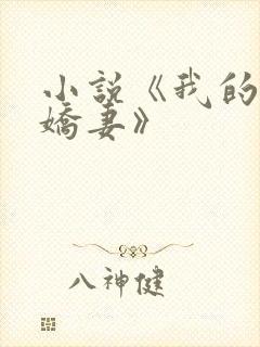 小说《我的极品娇妻》