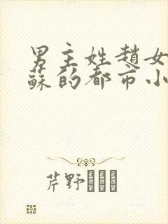 男主姓赵女主姓苏的都市小说
