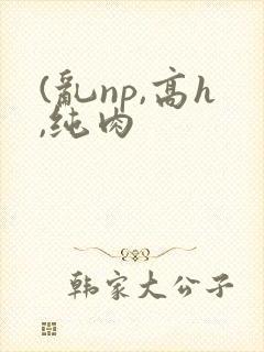 (乱np,高h,纯肉