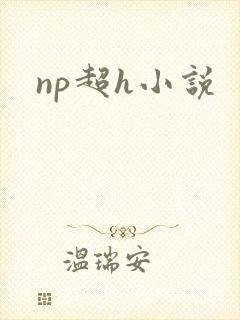 np超h小说