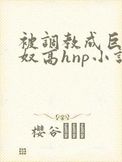 被调教成巨乳奶奴高hnp小说