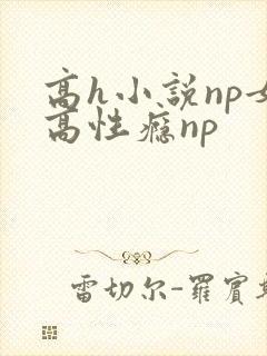 高h小说np女高性瘾np封面