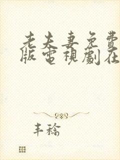 老夫妻免费完整版电视剧在线观看中封面