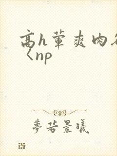 高h荤爽肉欲文〈np