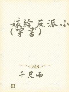 嫁给反派小叔子(穿书)