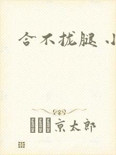 合不拢腿 小说