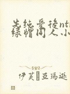 先纯爱后ntr绿帽同人小说阅读