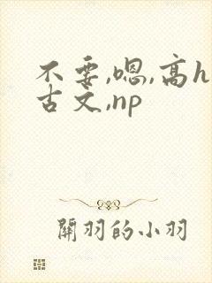 不要,嗯,高h古文,np