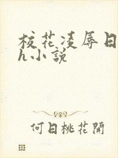 校花凌辱日记高h小说封面