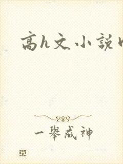 高h文小说肉