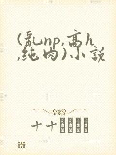 (乱np,高h,纯肉)小说