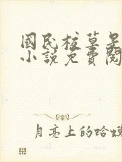 国民校草是女生小说免费阅读