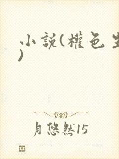 小说(权色生香)封面