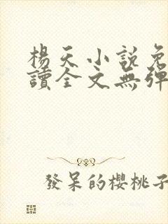 杨天小说免费阅读全文无弹窗