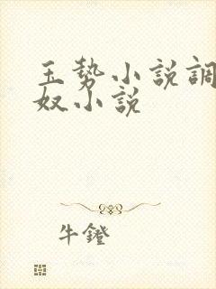 玉势小说调教男奴小说