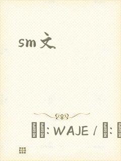 sm文