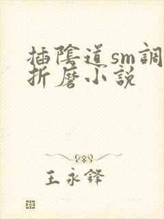 插阴道sm调教折磨小说