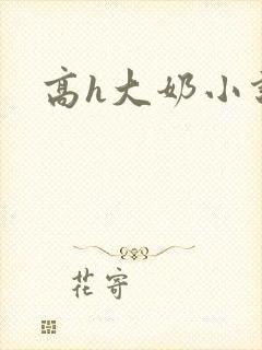 高h大奶小说封面