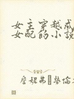 女主穿越成恶毒女配的小说