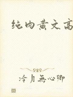 纯肉黄文高h文