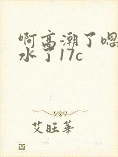 啊高潮了嗯～喷水了17c