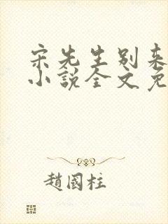 宋先生别来无恙小说全文免费阅读