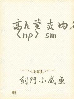 高h荤爽肉欲文〈np〉sm