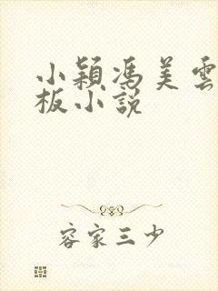 小颖冯美云蒋老板小说封面