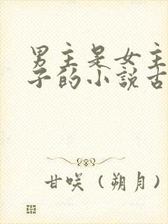 男主是女主小叔子的小说古文