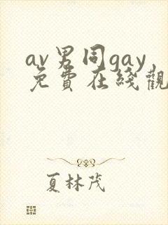 av男同gay免费在线观看