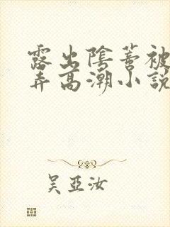 露出阴蒂被人玩弄高潮小说