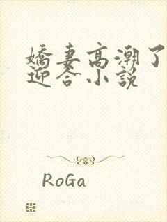 娇妻高潮了开始迎合小说封面