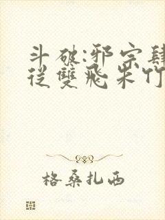 斗破:邪宗肆虐从双飞朱竹清