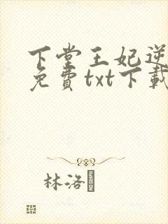 下堂王妃逆袭记免费txt下载封面